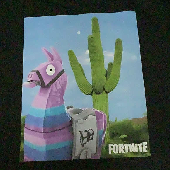 🎉🎉Host pic, 🎉🎉Fortnite T-shirt - Picture 3 of 4